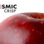 워싱턴주에서 개발한 신품종 사과, Cosmic Crisp