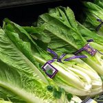 추수감사절 앞두고 식탁에 빨간불